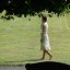 Barefoot exercise- Working Out Barefoot